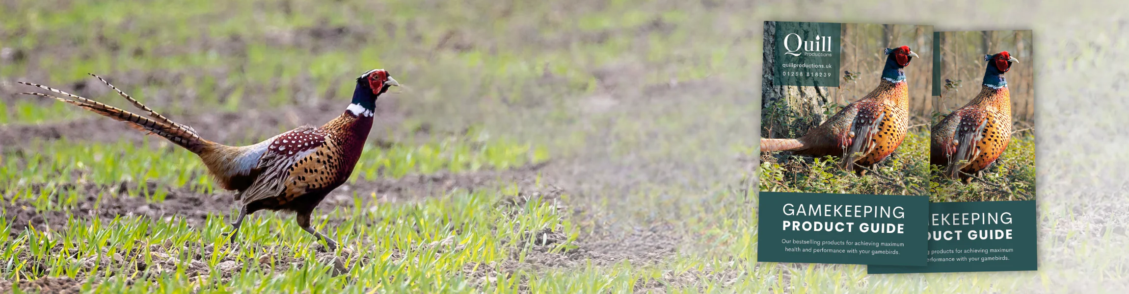 Welcome to Our Store